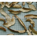 dried boletus edulis mushroom